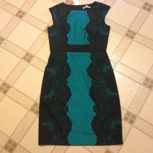 Brand new dress from New York and company